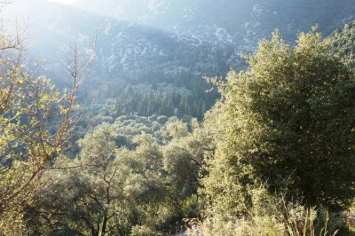 Neohori-Stavroula (3).jpg